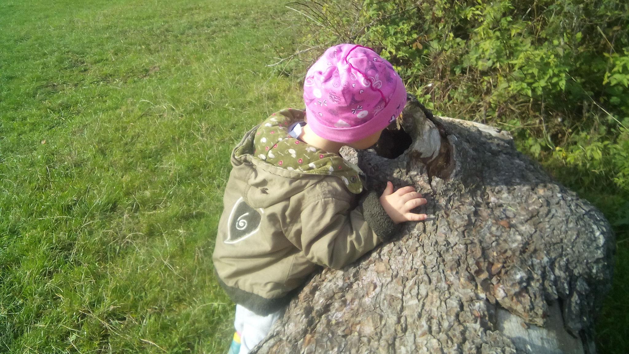 IMG_20201022_114752.jpg
